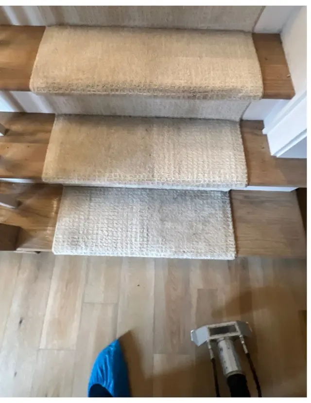 Monster Clean — photo from the business 12