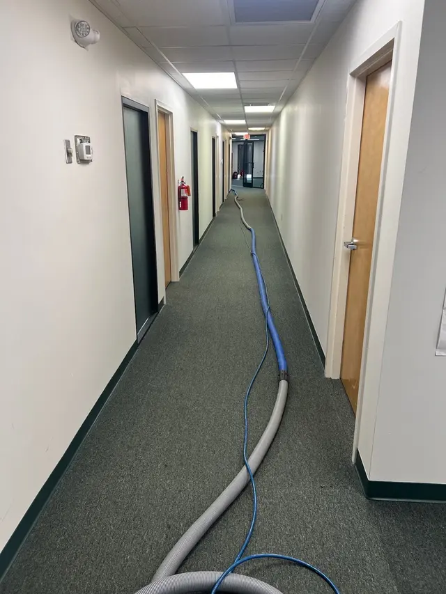 Monster Clean — photo from the business 5