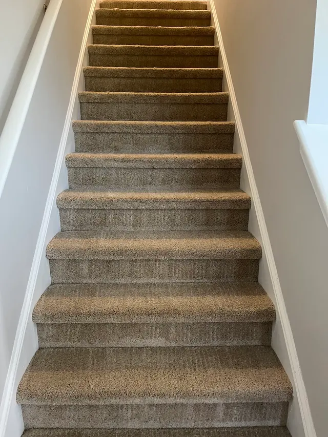 Customer photo from Jason's review