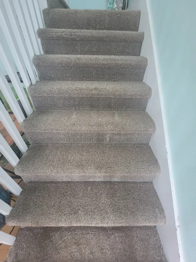 Customer photo from Michael's review