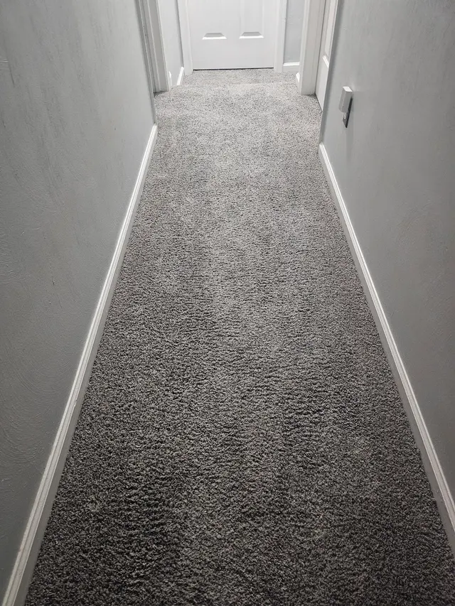 Cosmo Cleaning — customer photo 12