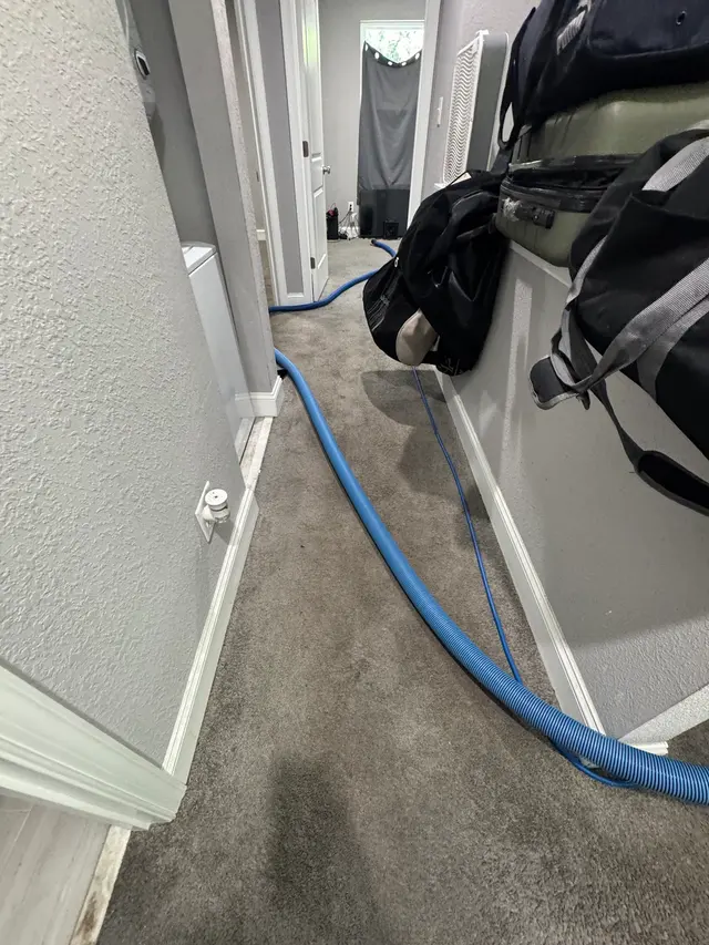 Cosmo Cleaning — customer photo 10