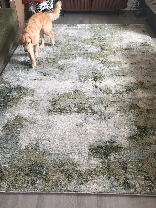 Customer photo from Dillon's review