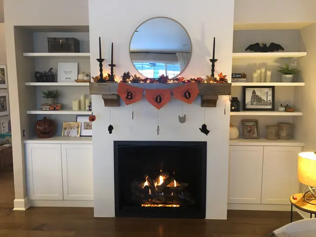 Chimney Sweeps Of America — photo from the business 11