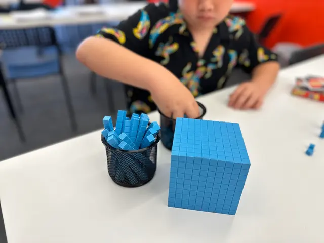 Mathnasium — photo from the business 6