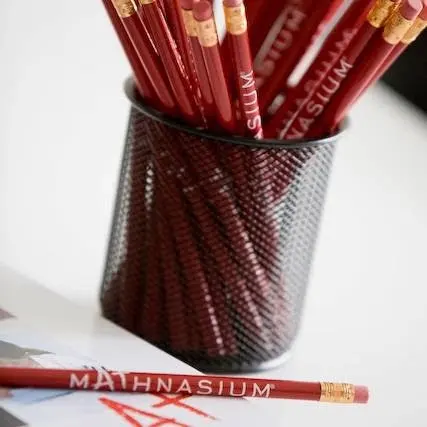Mathnasium — photo from the business 12