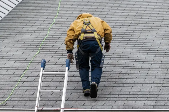Premier Restoration & Construction — photo from the business 7