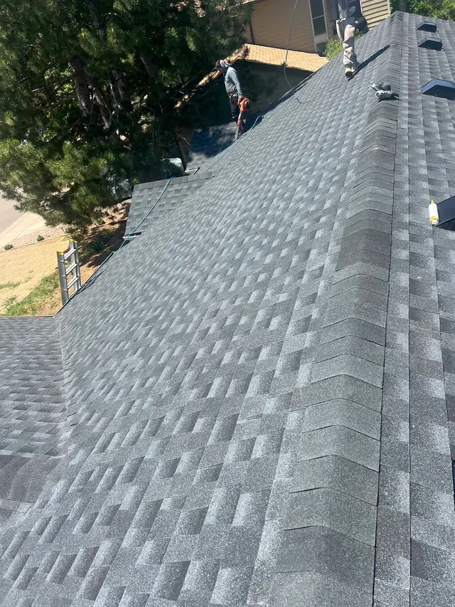 Customer photo from Tracy's review