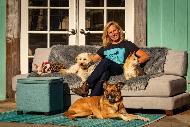 KW Happy Dogs — photo from the business 1