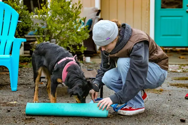 KW Happy Dogs — photo from the business 2