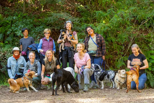 KW Happy Dogs — photo from the business 10