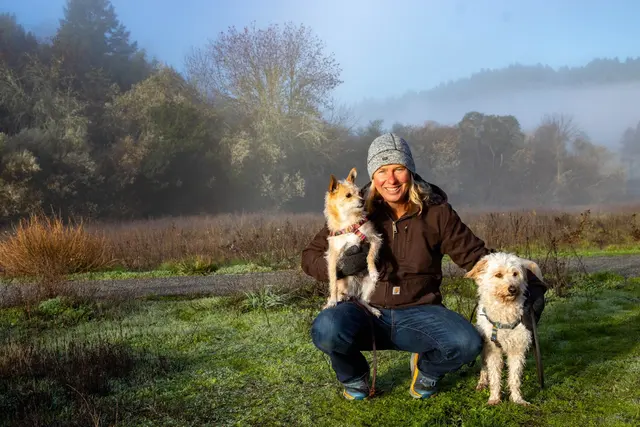 KW Happy Dogs — photo from the business 4