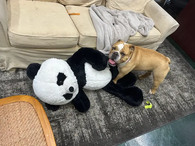 Customer photo from Steve's review