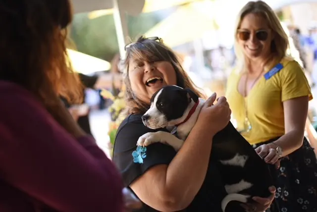 K9 Activity Club — photo from the business 9