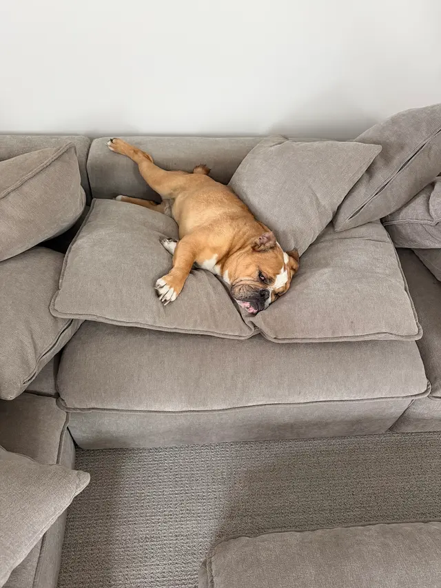 Customer photo from Steve's review