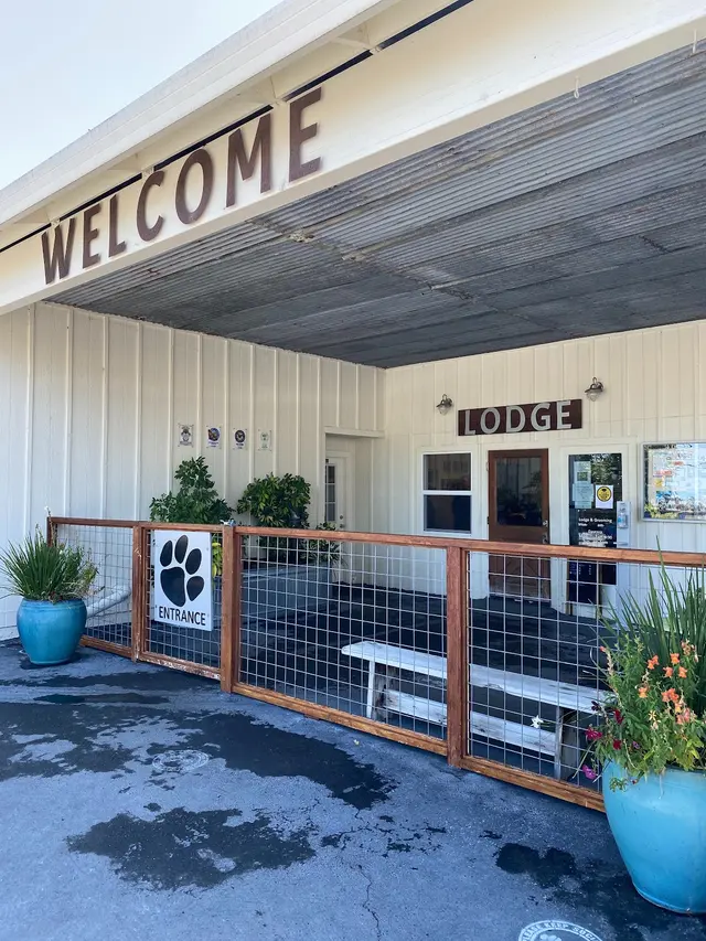 K9 Activity Club — photo from the business 1