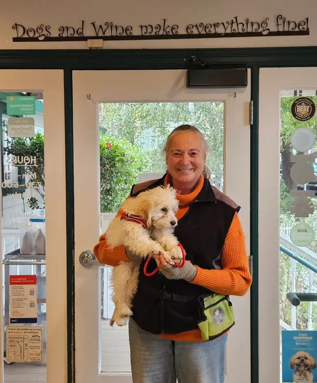 All About Canines, Positive Reinforcement Dog Training — photo from the business 1
