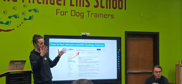 Michael Ellis School For Dog Trainers — customer photo 12