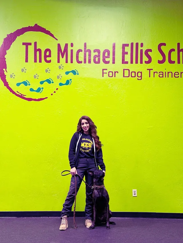 Customer photo of work by Michael Ellis School For Dog Trainers, from Heaven Sent K-9's review