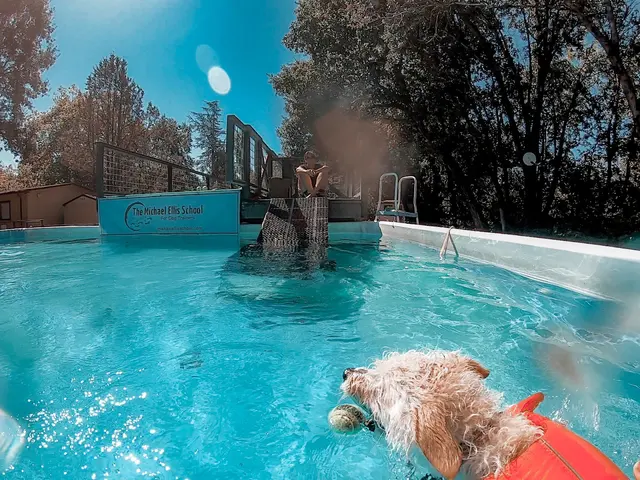 Michael Ellis School For Dog Trainers — customer photo 6