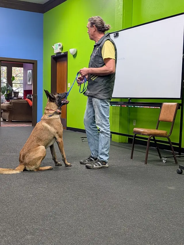Michael Ellis School For Dog Trainers — customer photo 8