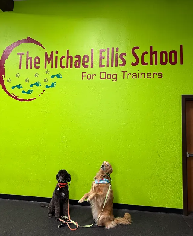 Customer photo of work by Michael Ellis School For Dog Trainers, from Donnelly West's review