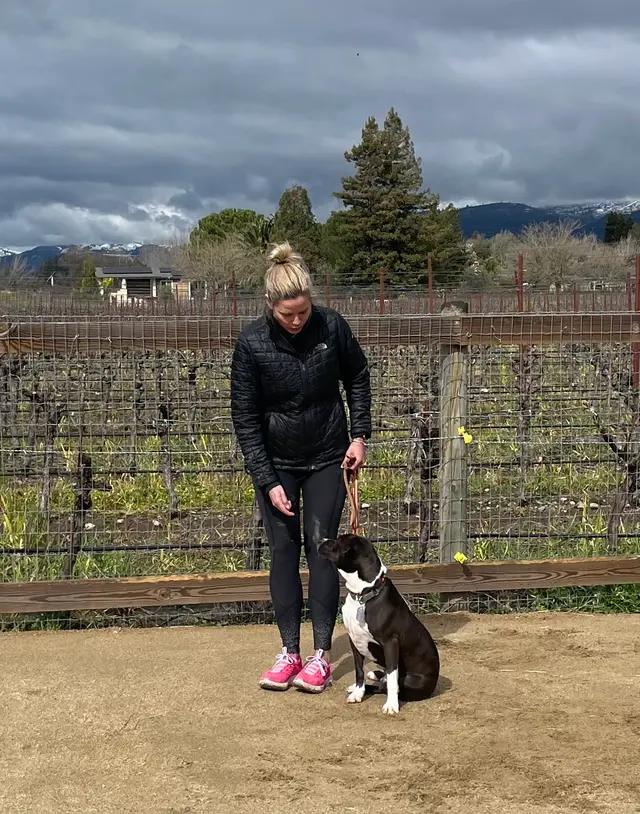 Sonoma Dog Training — customer photo 10