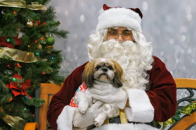 Fit 'N' Furry Pet Resort & Training Center — photo from the business 5
