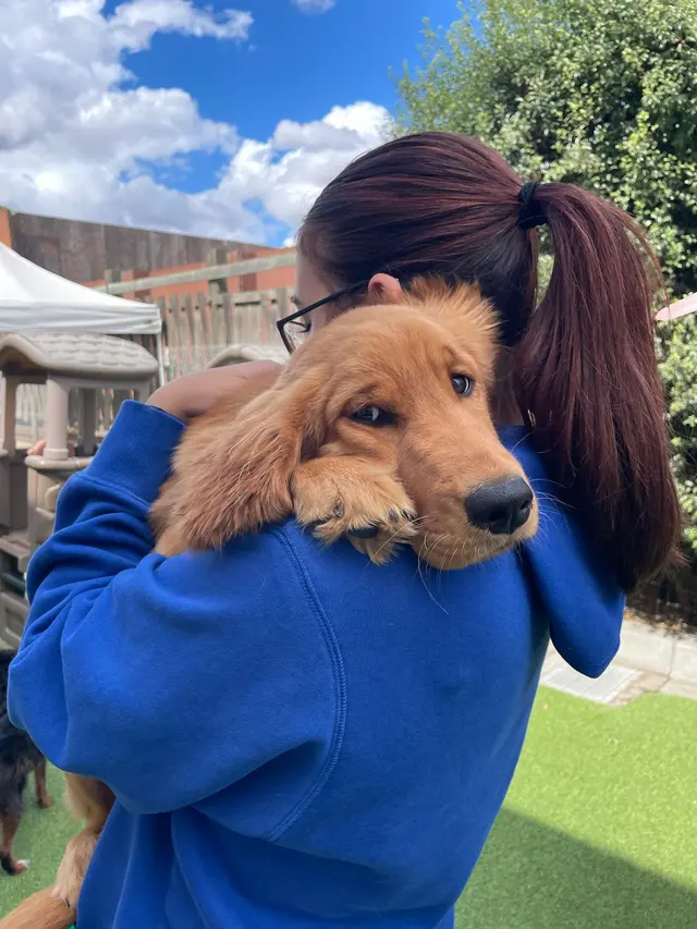 Fit 'N' Furry Pet Resort & Training Center — photo from the business 1