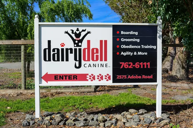 DAIRYDELL CANINE - Doggie Dude Ranch & Training Center — photo from the business 10