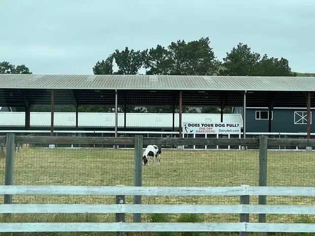 DAIRYDELL CANINE - Doggie Dude Ranch & Training Center — customer photo 7