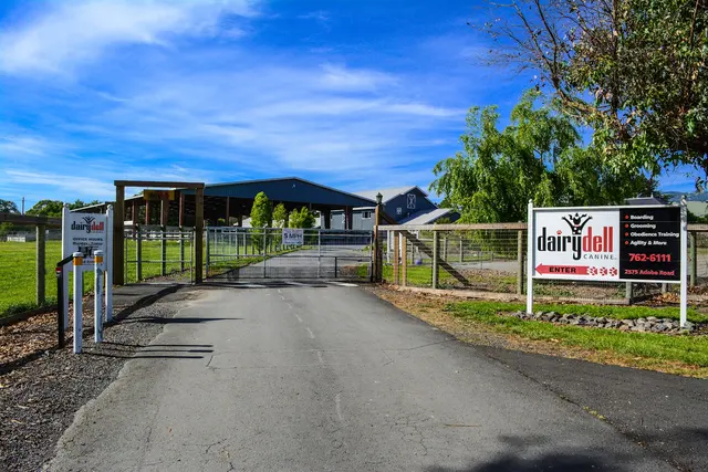 DAIRYDELL CANINE - Doggie Dude Ranch & Training Center — photo from the business 6
