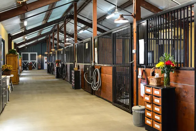 DAIRYDELL CANINE - Doggie Dude Ranch & Training Center — photo from the business 1