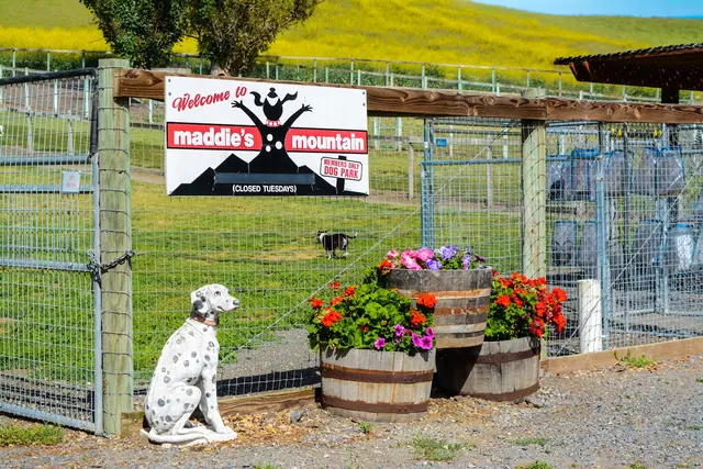 DAIRYDELL CANINE - Doggie Dude Ranch & Training Center — photo from the business 11