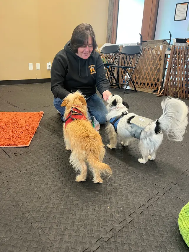 Good Dawg Training LLC — customer photo 8