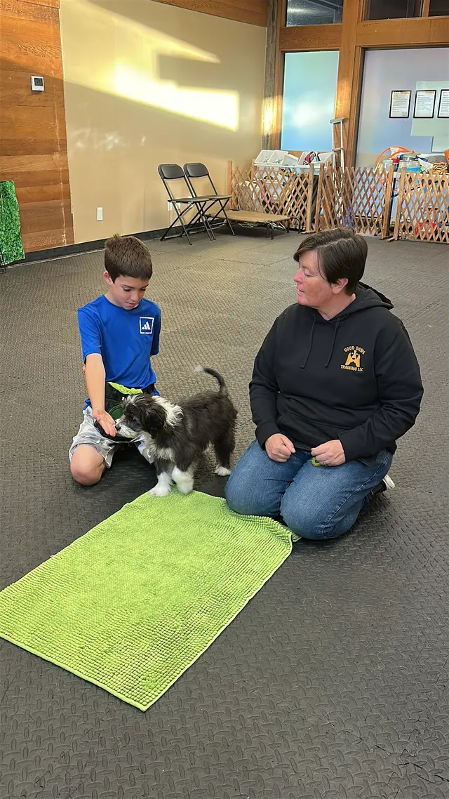Good Dawg Training LLC — customer photo 4