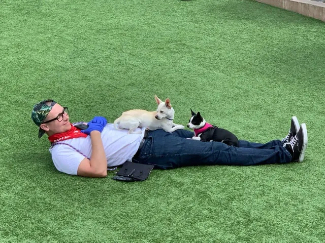 A Beautiful Life Dog Training — photo from the business 3
