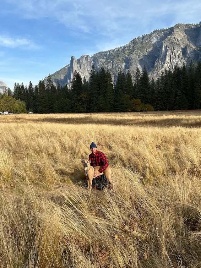 A Beautiful Life Dog Training — photo from the business 5