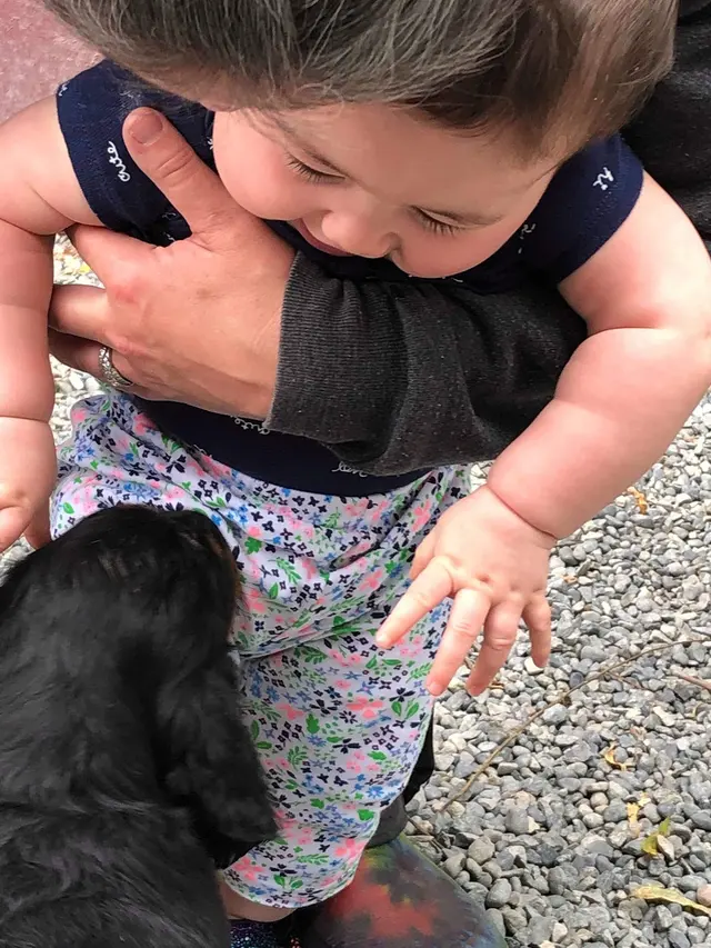 It's a Dog's Life — customer photo 12