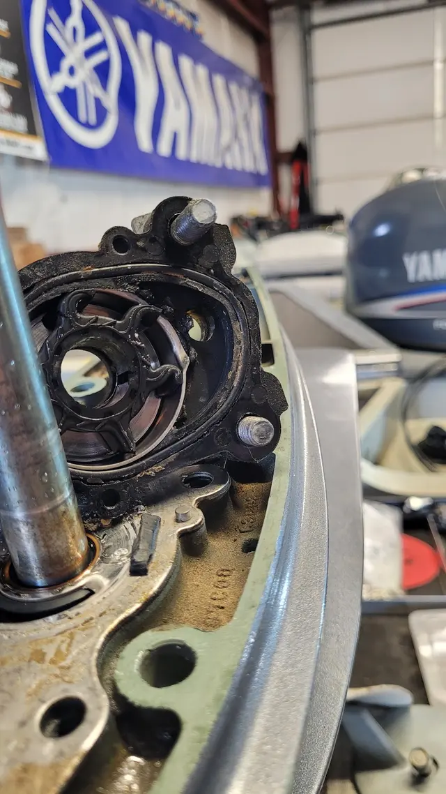 Full Throttle Marine — photo from the business 9