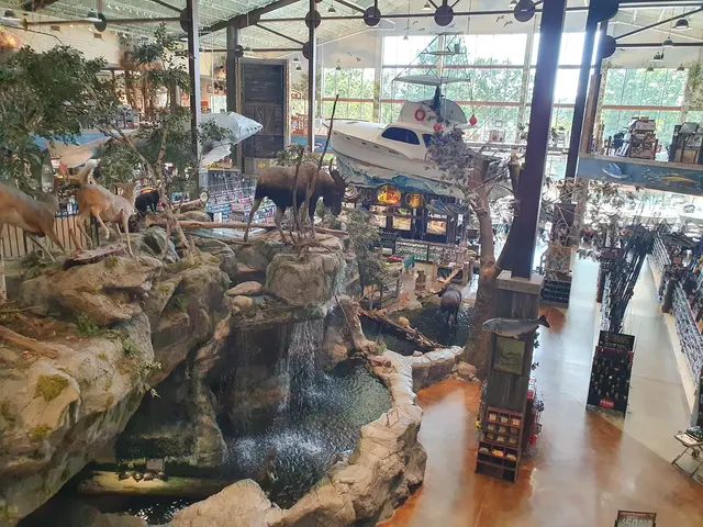 Bass Pro Shops/Cabela’s Boating Center — customer photo 3