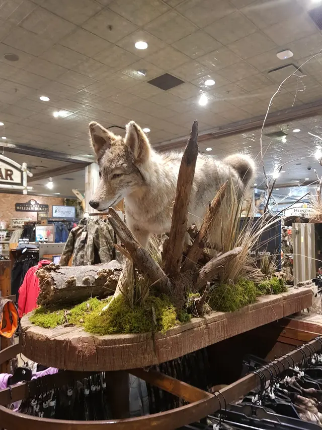 Bass Pro Shops/Cabela’s Boating Center — customer photo 8