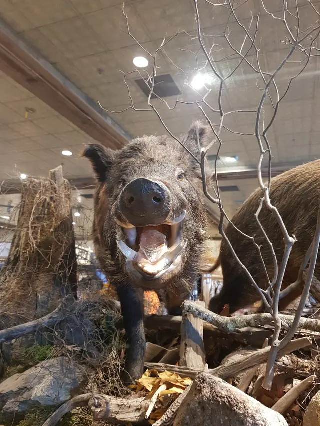 Bass Pro Shops/Cabela’s Boating Center — customer photo 9