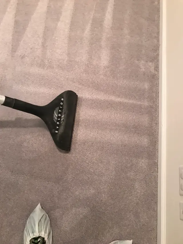 Green Clean Services, Inc — customer photo 9