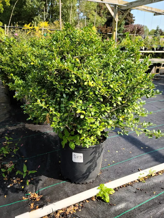 Highland Landscape Supply — customer photo 5