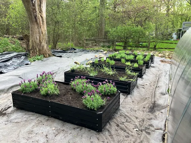 Savarino Brothers Garden Center & Landscape Materials — customer photo 10