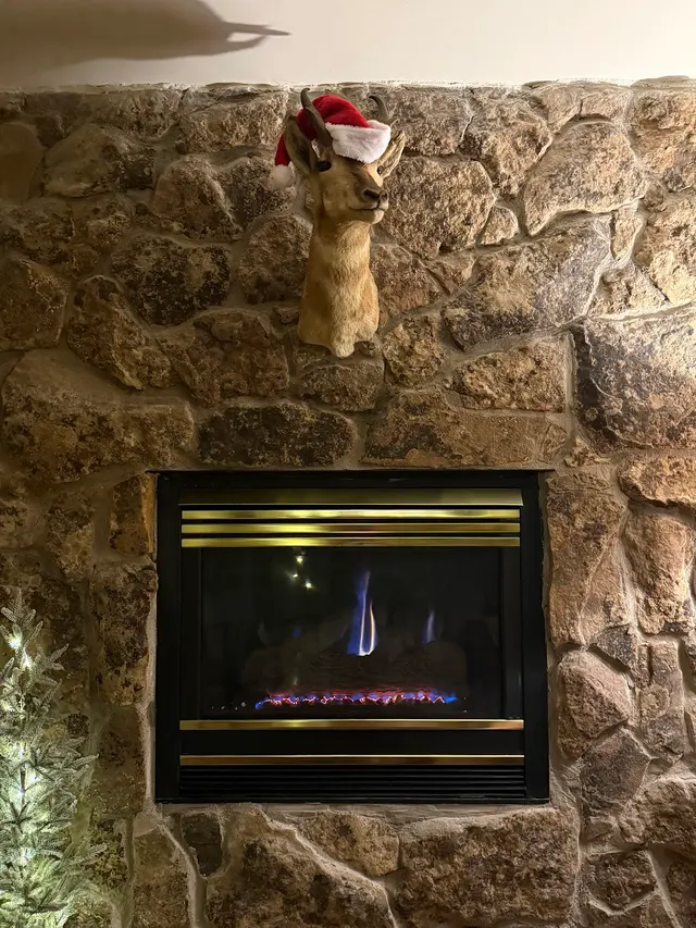 Customer photo of work by All Fired Up Fireplace Services LLC., from Colleen Varan's review