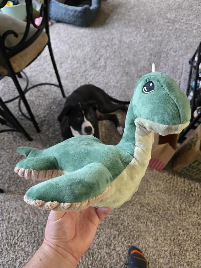 Customer photo from Cassidy's review