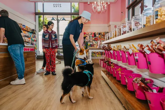 Woof Gang Bakery & Grooming Santa Clara — photo from the business 8