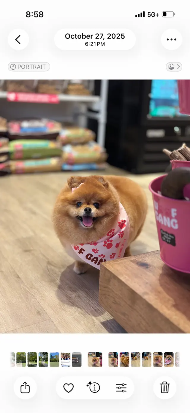 Customer photo from lvuittonlvr's review